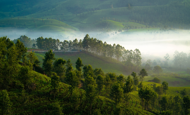 Best Places to Visit in India During Monsoon Season