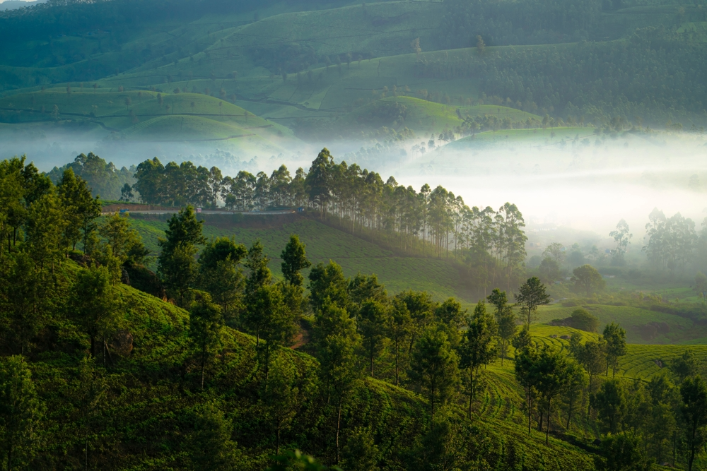 best places to visit in India during monsoon season